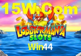 Win44 App Interface